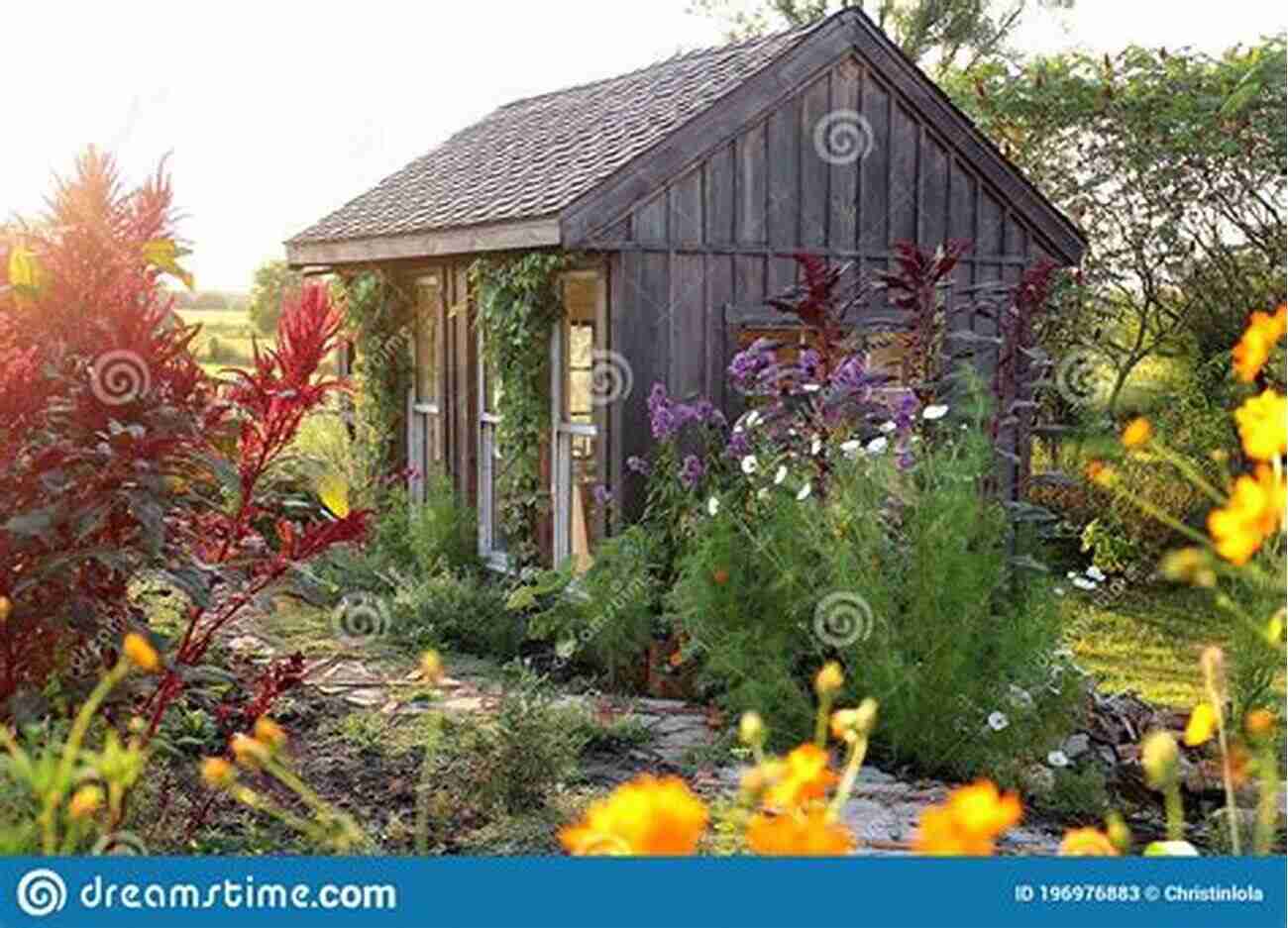 Little House In The Bush Surrounded By Colorful Flowers And Tall Trees Little House In The Bush: Growing Up In New Zealand