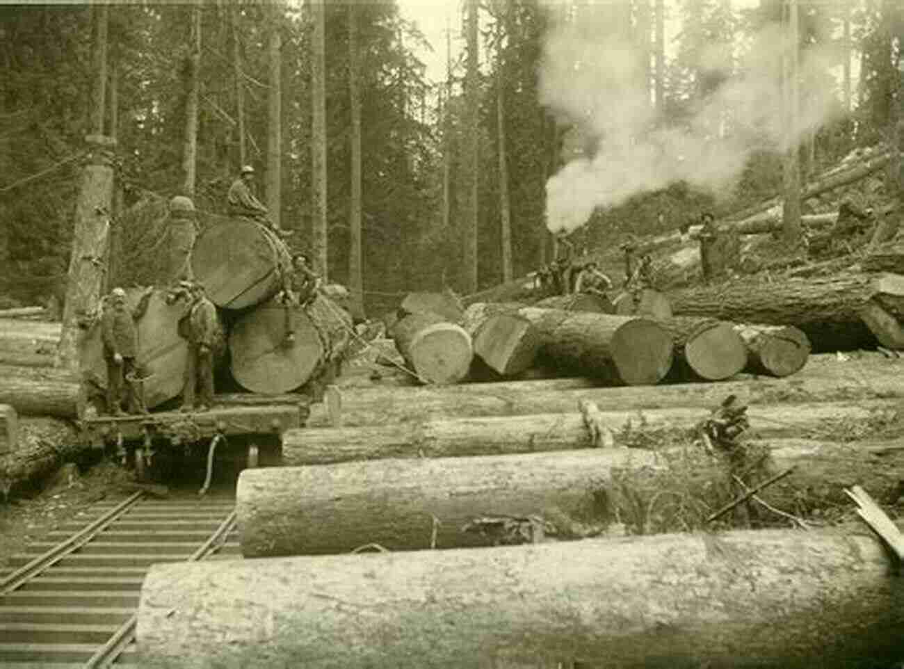 Logging Museum In Mason County, Dedicated To Preserving The Region's Timber Industry Heritage Logging In Mason County: 1946 1985 (Images Of America)