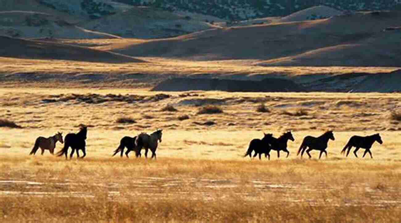 Magnificent Herd Of Wild Horses Roaming Freely In Tooele County Utah Salt Desert Mustangs: Discovering Wild Horses And Historic Trails In Tooele County Utah