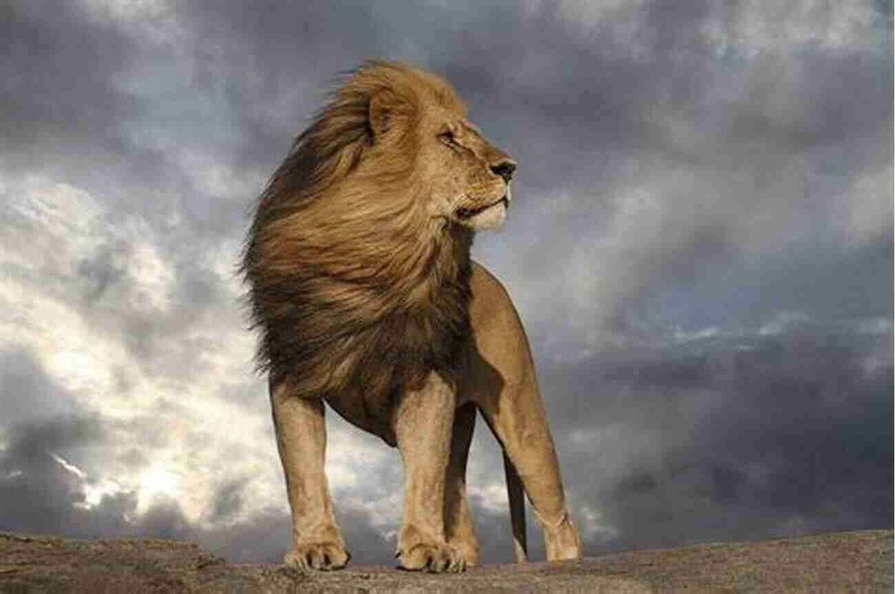 Majestic Lion In The Savannah SHARKS: Fun Facts And Amazing Photos Of Animals In Nature (Amazing Animal Kingdom 1)