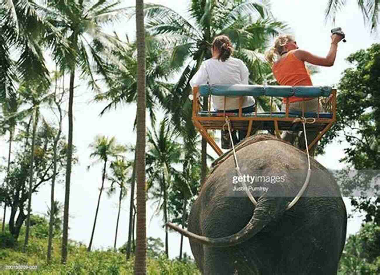 Man Riding An Adorable Elephant Through Lush Green Forests Man S Complete Guide To Paradise In Thailand