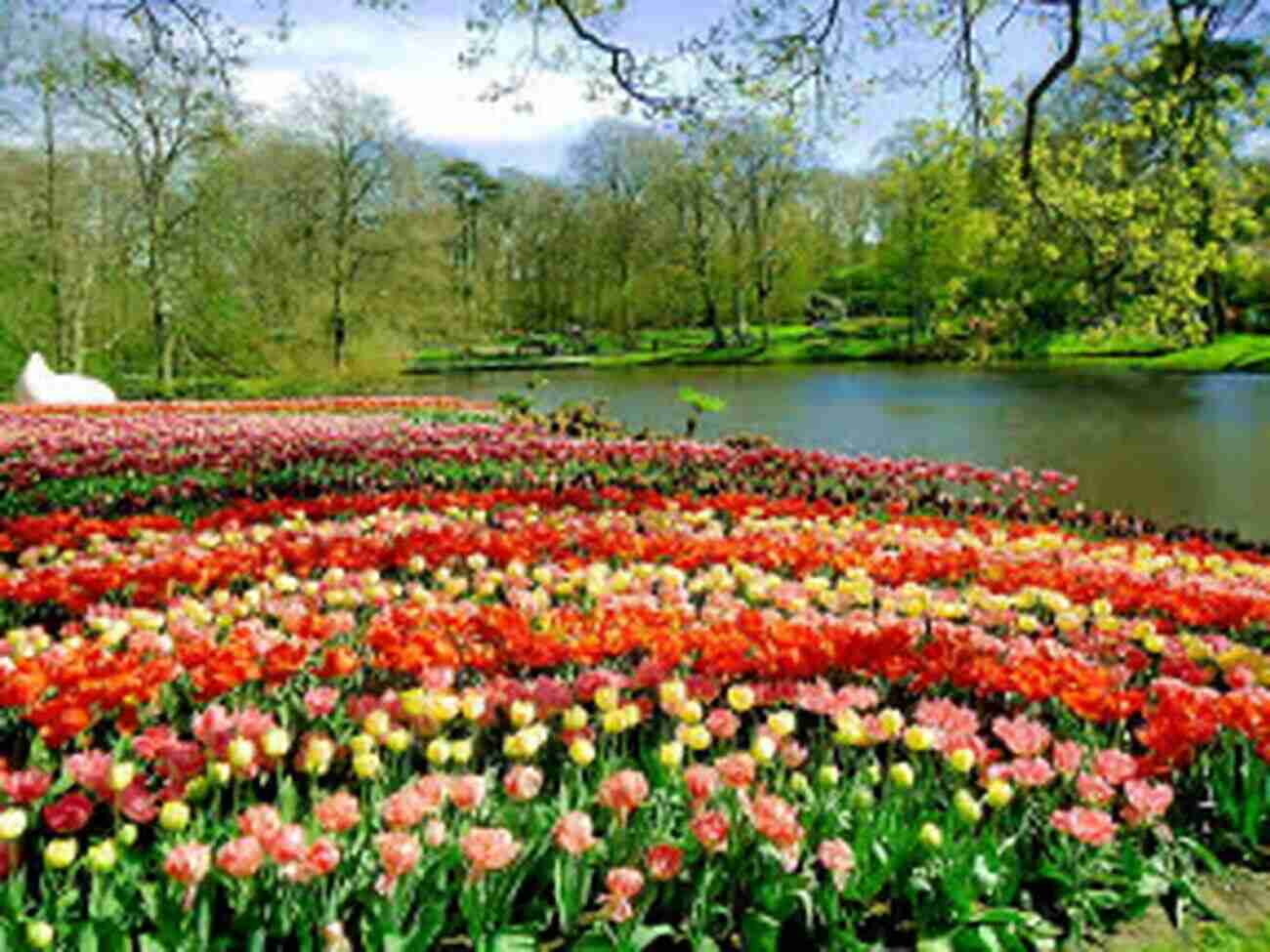 Marvel At The Vibrant Tulip Fields In Keukenhof Travel Guide Netherlands : Visit The Wonders Of Netherlands (Travel To Europe With Safer : Discover Europe And Beyond 13)