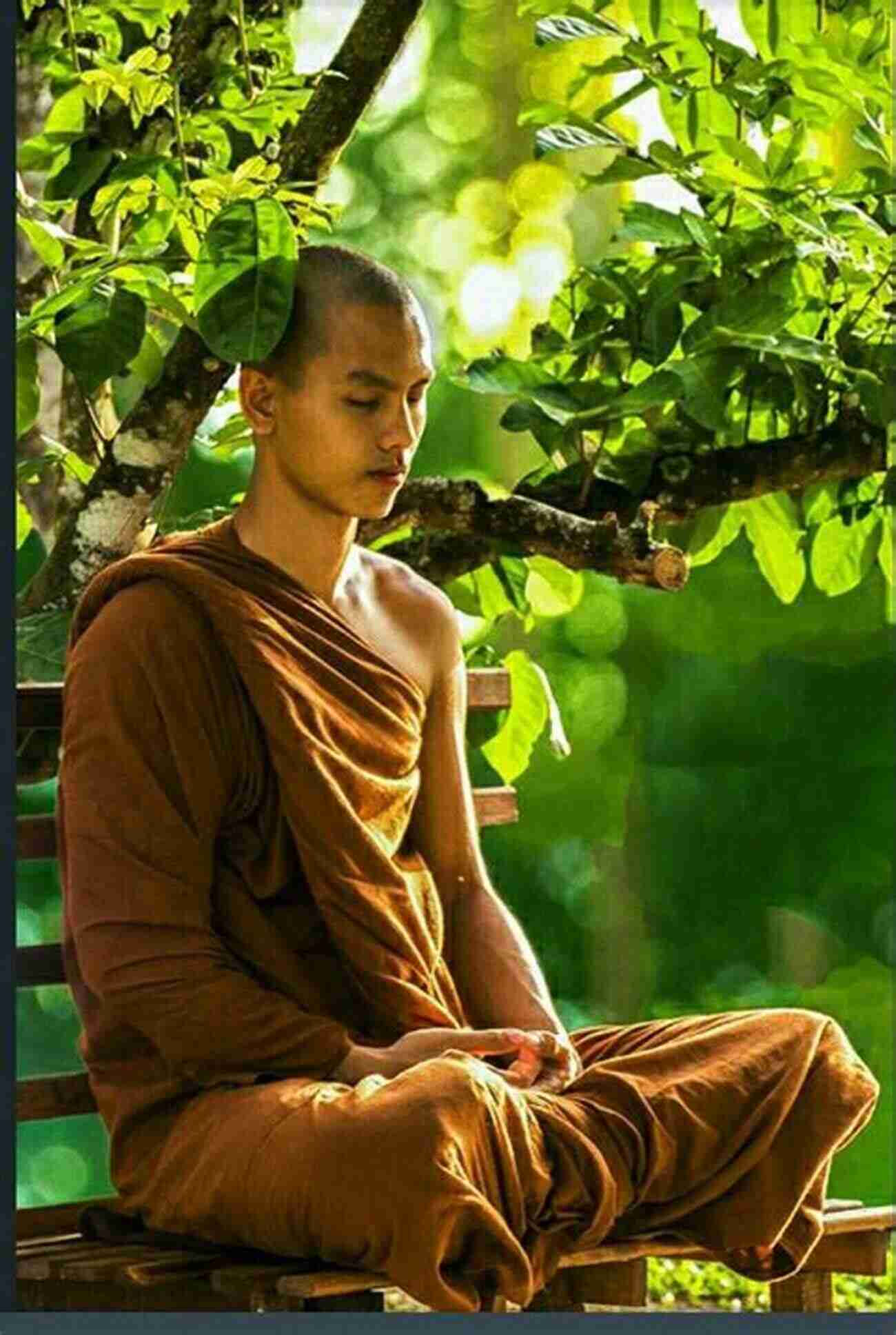 Monk Meditating With A Serene Smile On His Face Back Over The Mountains: A Journey To The Buddha Within