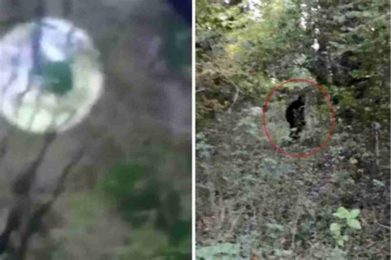 Mysterious Creature Lurking In The Woods Unexplained Mysteries: 2 In 1 Unexplained Mysteries Of The World Bigfoot The Other Ones