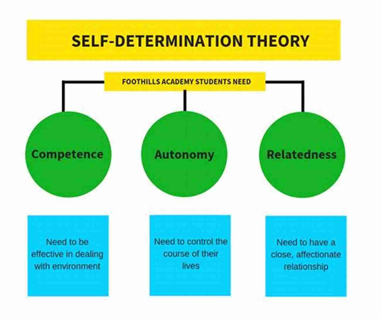 One School A Journey Of Determination Mission High: One School How Experts Tried To Fail It And The Students And Teachers Who Made It Triumph