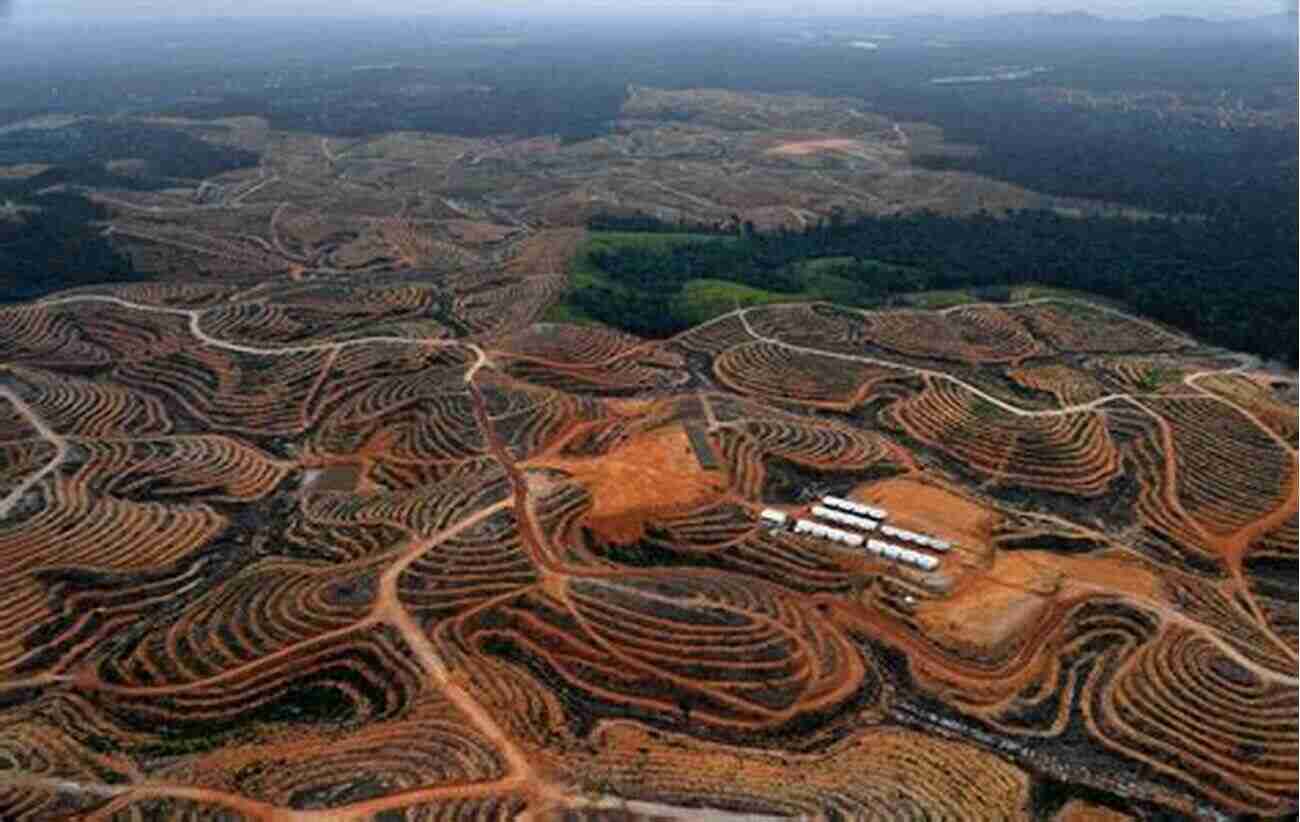 Palm Oil Plantation Destruction Of Rainforests Sustainable Branding: Ethical Social And Environmental Cases And Perspectives