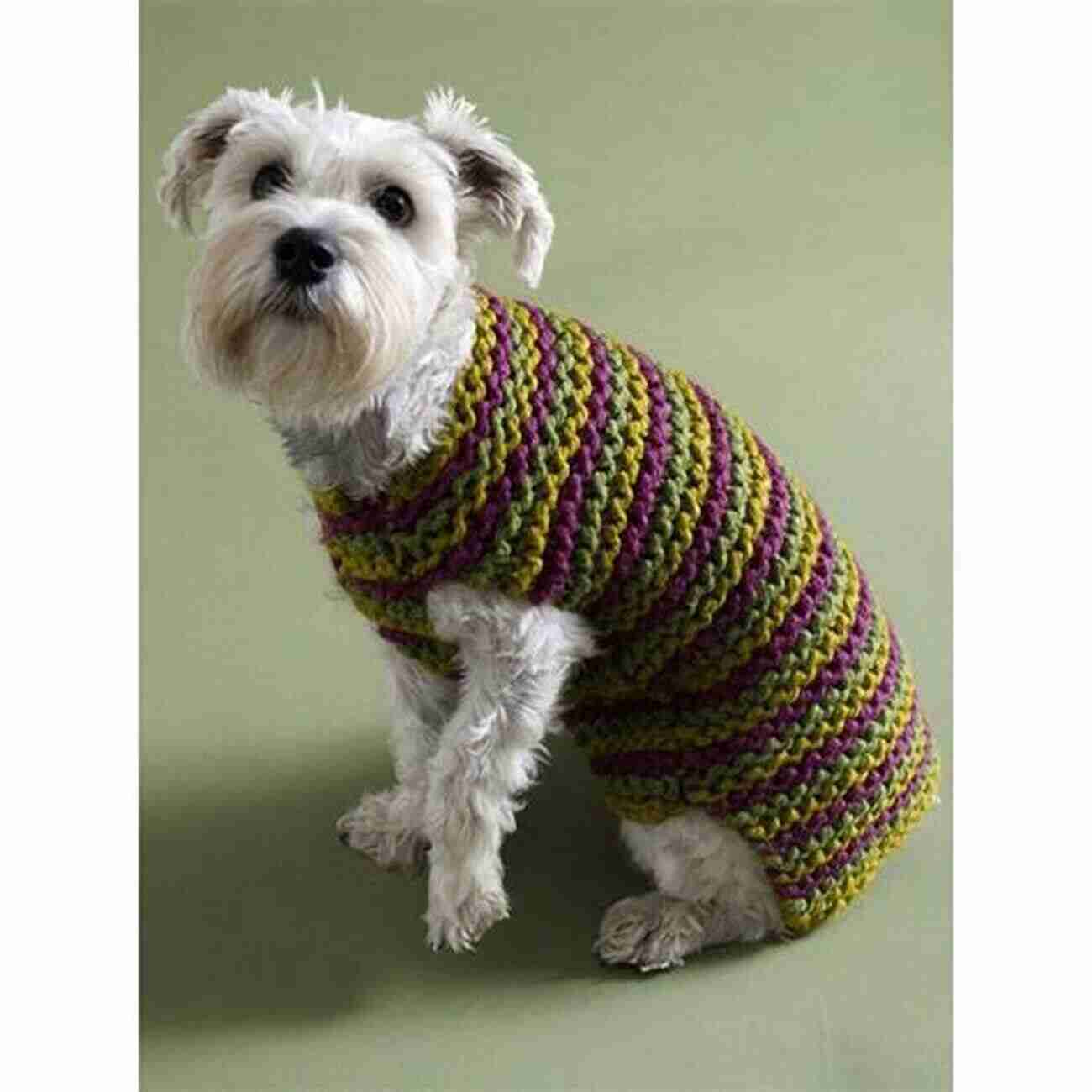 Paw Print Art Dog Knitting Patterns: Guide To Make Cute Dogs By Knitting: Gift For Dog Lover DIY Dog