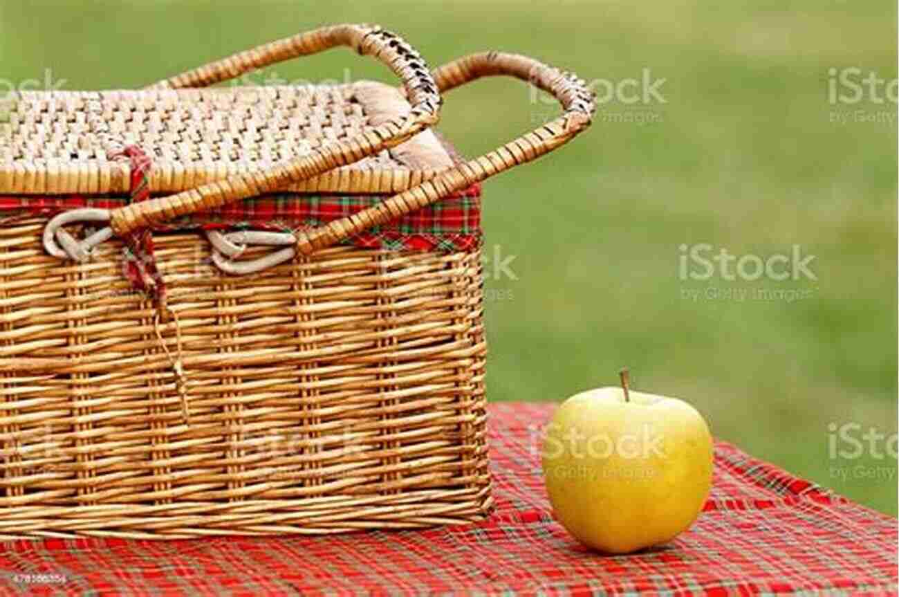 Picnic Basket The Basket Book: Over 30 Magnificent Baskets To Make And Enjoy