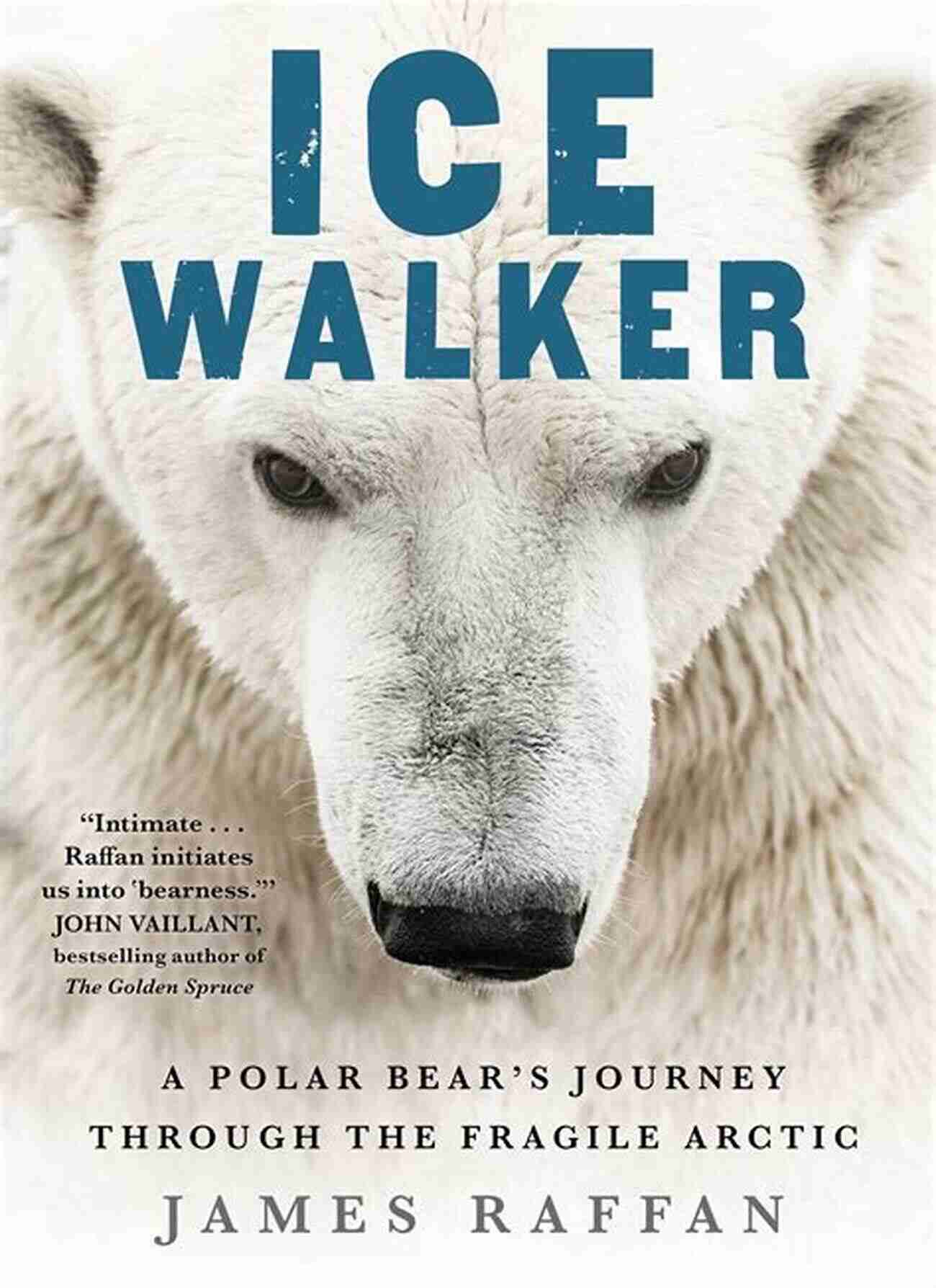 Polar Bear Conservation Ice Walker: A Polar Bear S Journey Through The Fragile Arctic