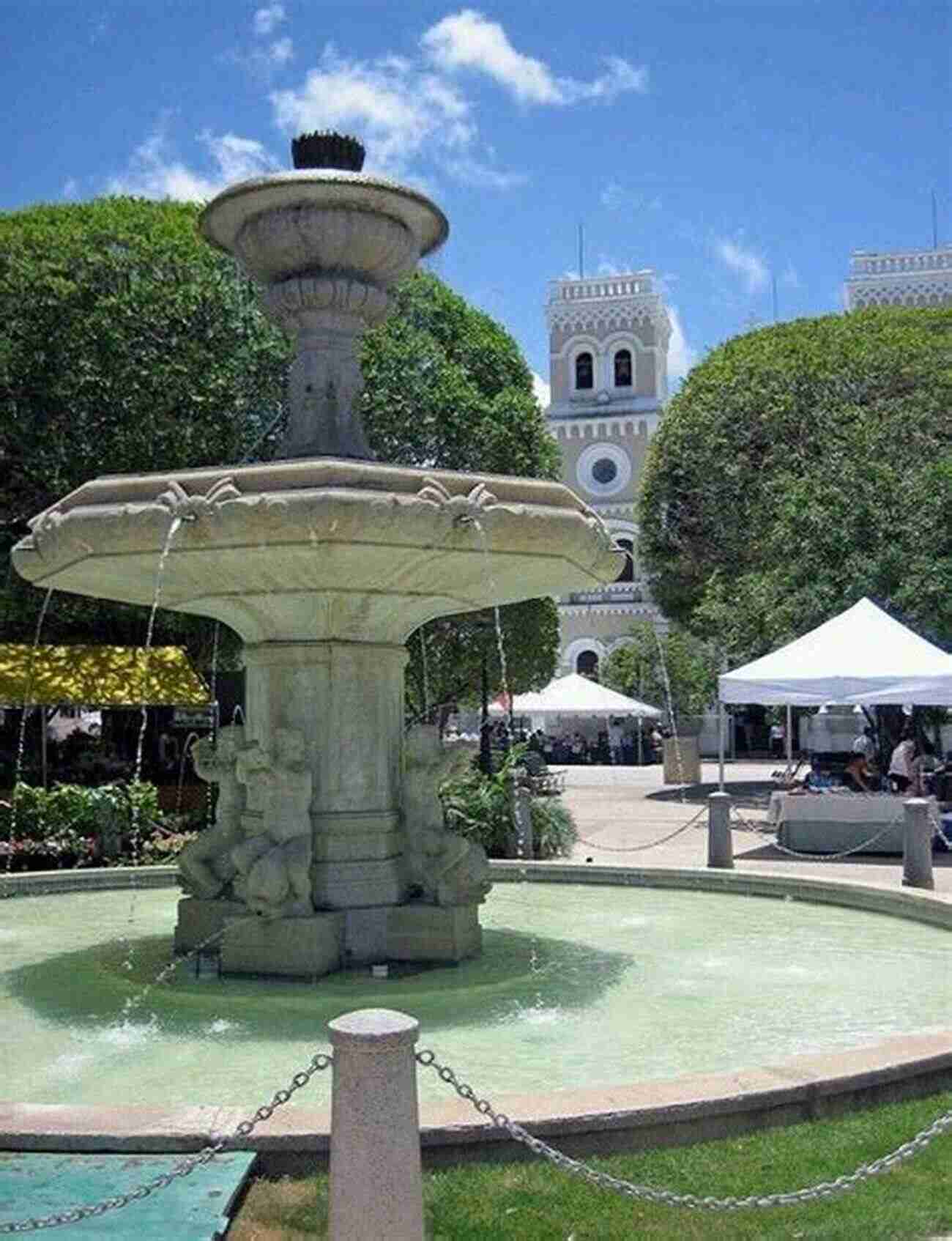 Preserved Vines In Guayama, A Testament To The City's Commitment To Preserving Its Enchanting Beauty Guayama: The Enchanted City P D Viner