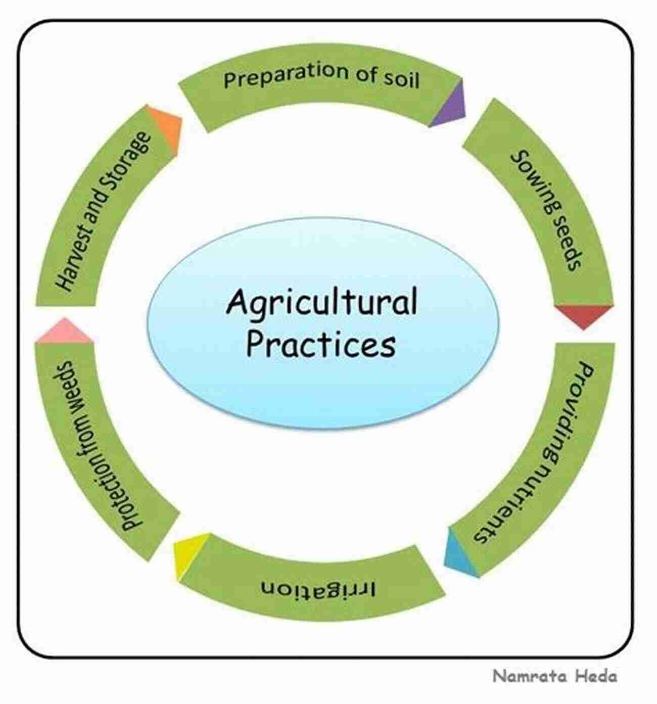 Production Storage And Crop Protection Achieving Sustainable Cultivation Of Potatoes Volume 2: Production Storage And Crop Protection (Burleigh Dodds In Agricultural Science 33)