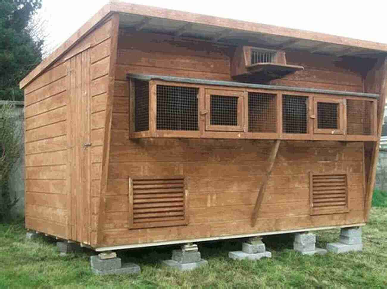 Racing Pigeon Loft Racing Pigeon Loft Construction Plans: Pigeon Avairy