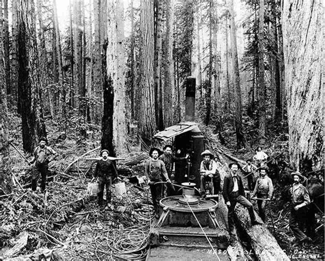 Rare Image Of A Logging Crew In Action, Mason County 1946 1985 Logging In Mason County: 1946 1985 (Images Of America)