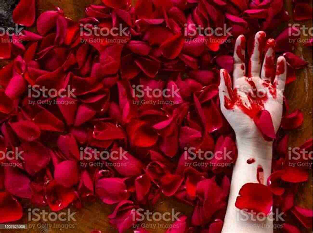 Rose Petals At Crime Scene Adventures Of A New Year S Kiss: A Holiday Romantic Mystery (Funeral Crashing Mysteries)