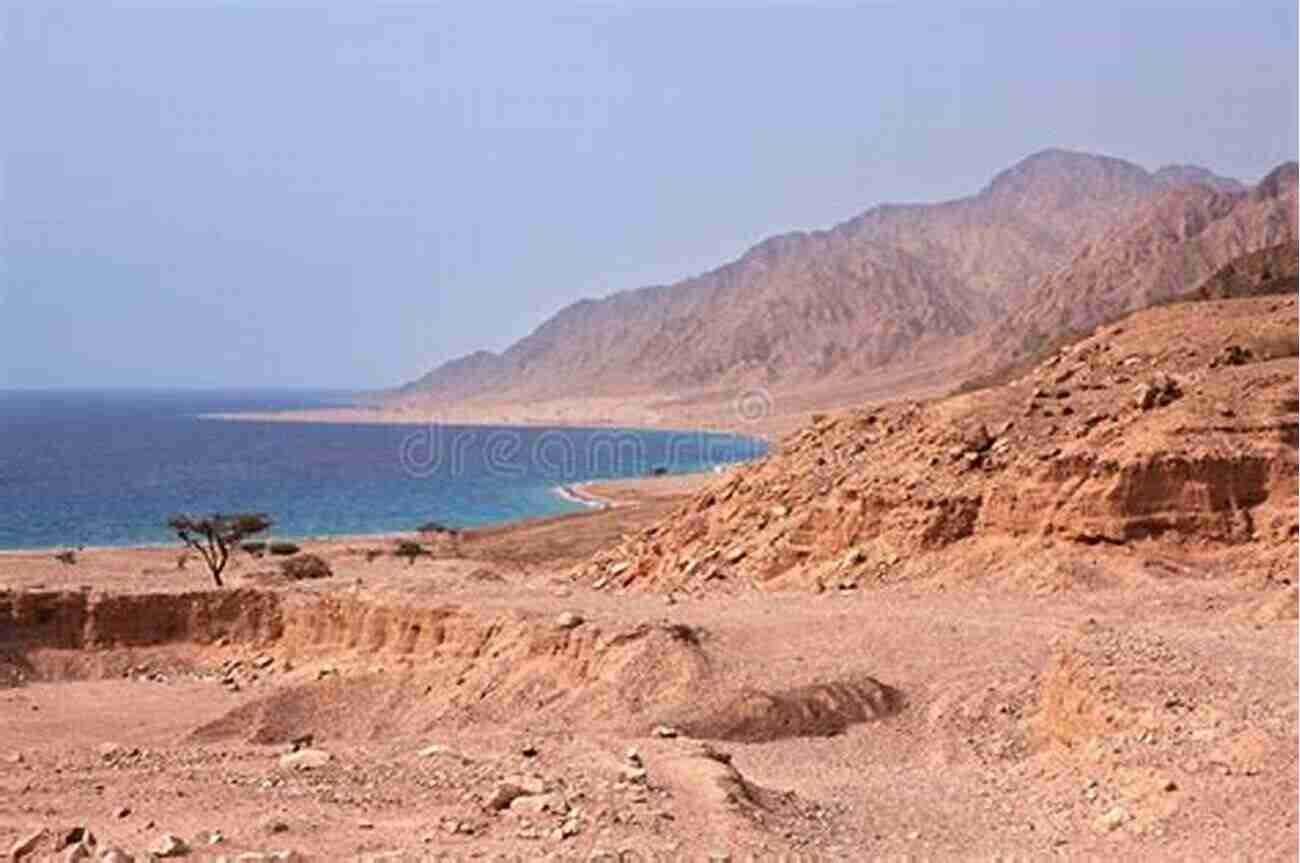 Sinai Interior Landscape Red Sea Sinai: Includes Sharm El Sheikh The Sinai Interior Hurghada And Eastern Desert (Footprint Focus)