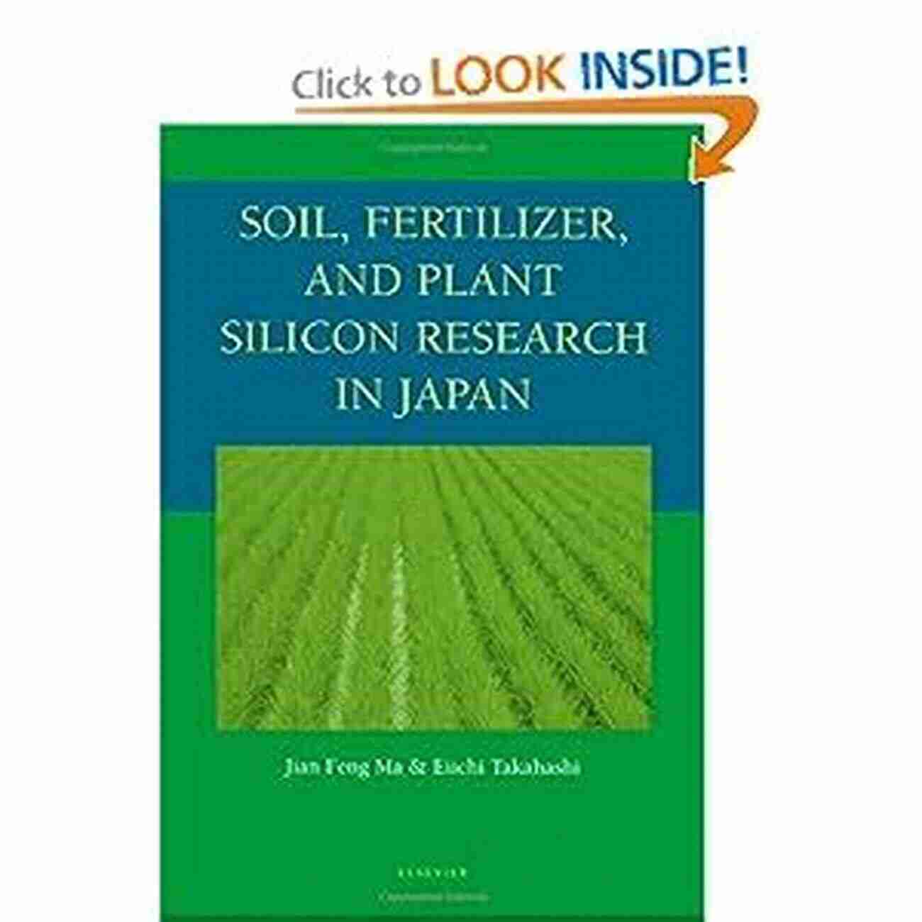 Soil Fertilizer And Plant Silicon Research In Japan