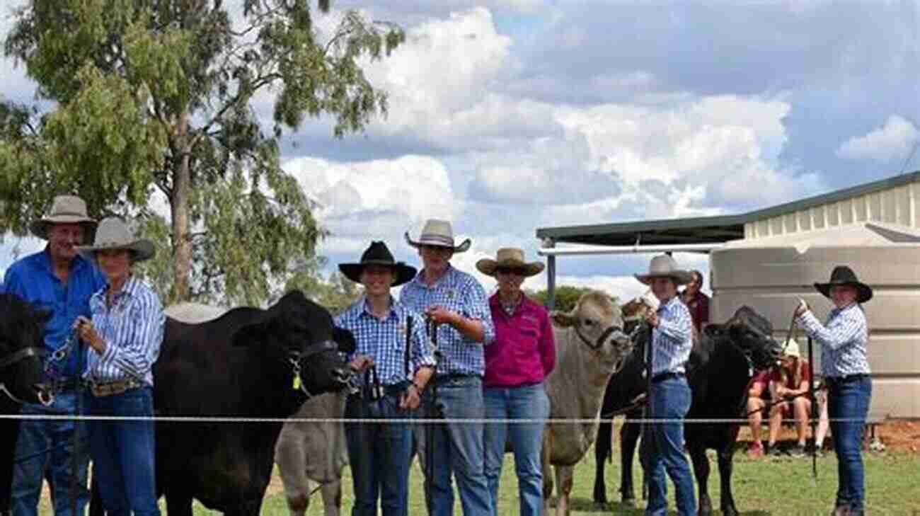 Students Herding Cattle On An Outback Ranch School Adventure Great Australian Outback School Stories (Great Australian Stories)