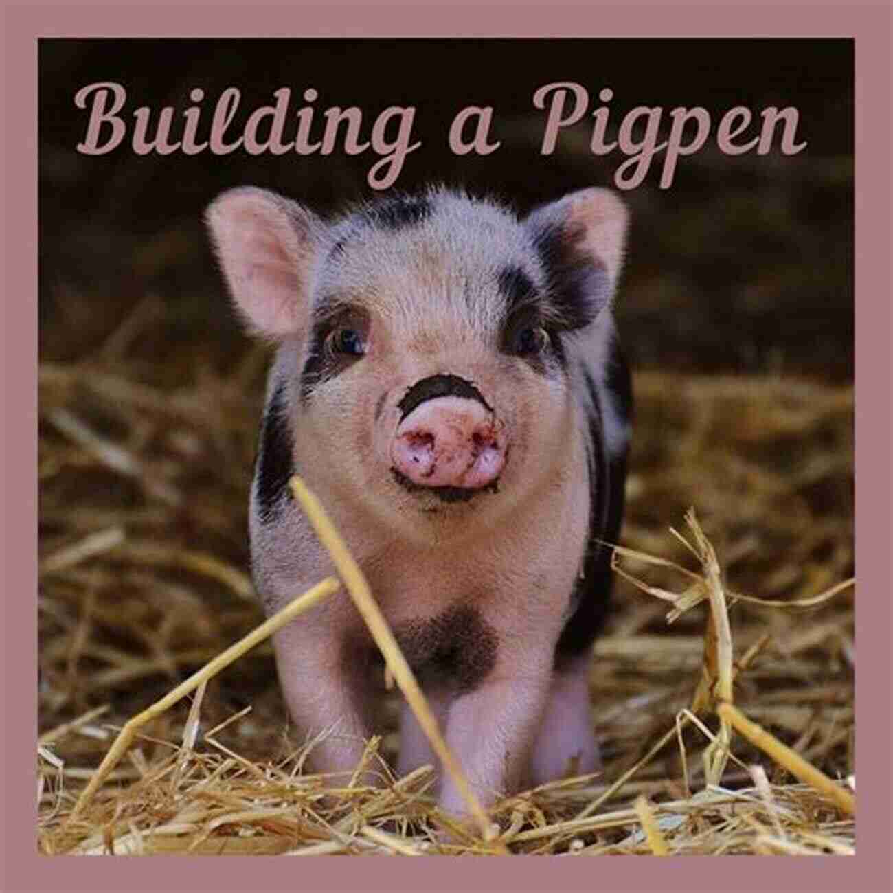 Suitable Pig Pen For Happy Pigs Raising Pigs: Beginners Guide To Raising Healthy And Happy Pigs On A Small Homestead