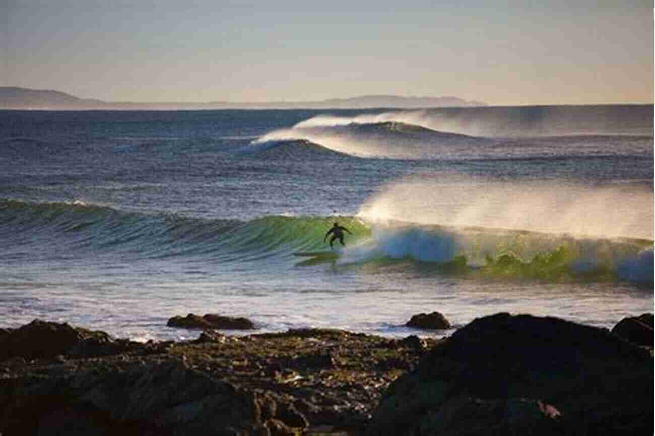 Surfing In Port Macquarie The Highway One Travel Companion 3: Sydney To Port Macquarie