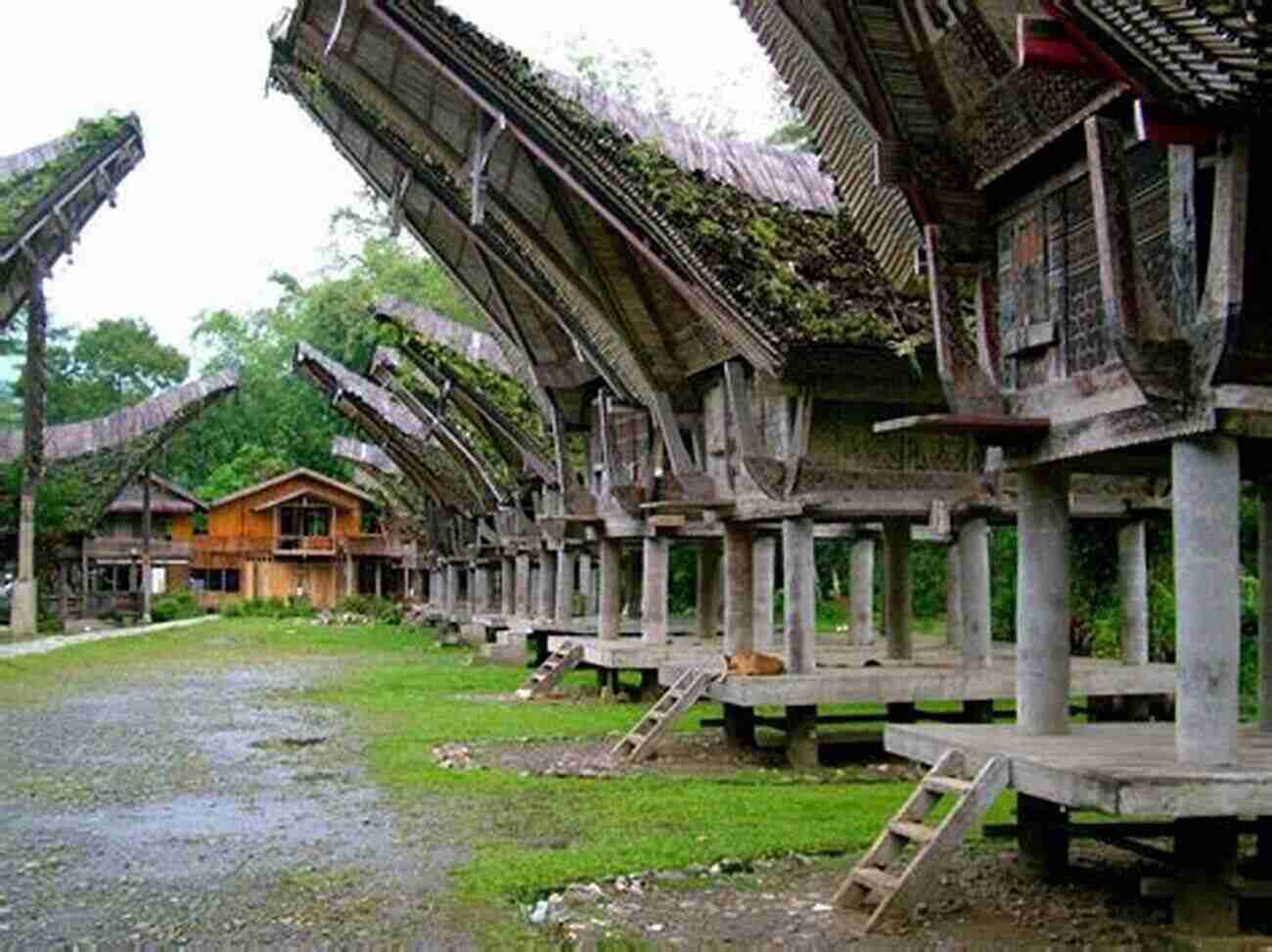 Tana Toraja 15 Best Places To Visit In Indonesia