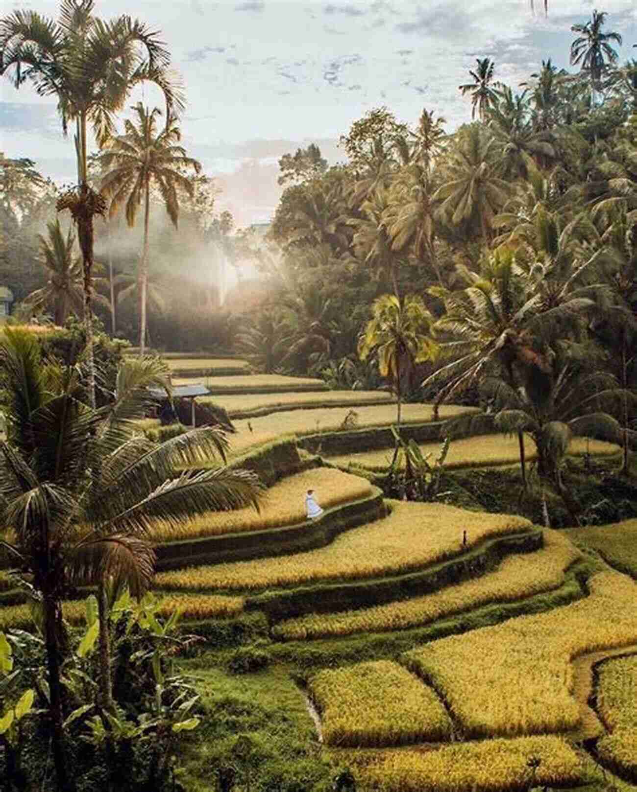 Tegalalang Rice Terraces 15 Best Places To Visit In Indonesia