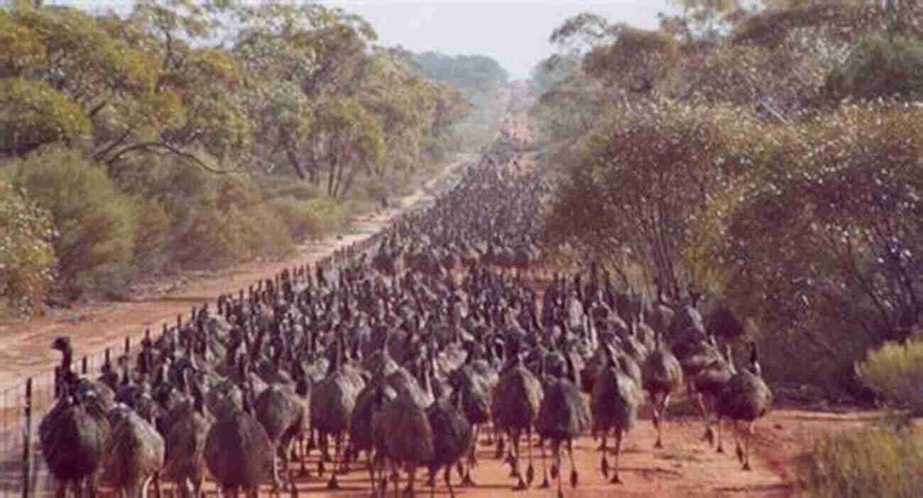 The Emu War In Australia The Forgotten History Of America: Little Known Conflicts Of Lasting Importance From The Earliest Colonists To The Eve Of The Revolutio