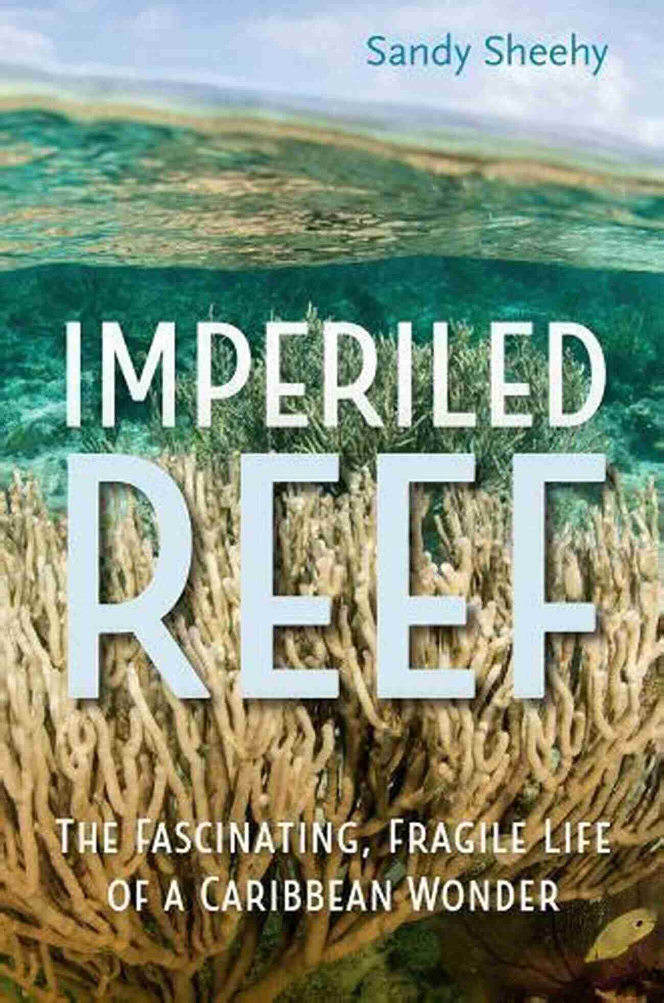 The Fascinating Fragile Life Of Caribbean Wonder Imperiled Reef: The Fascinating Fragile Life Of A Caribbean Wonder