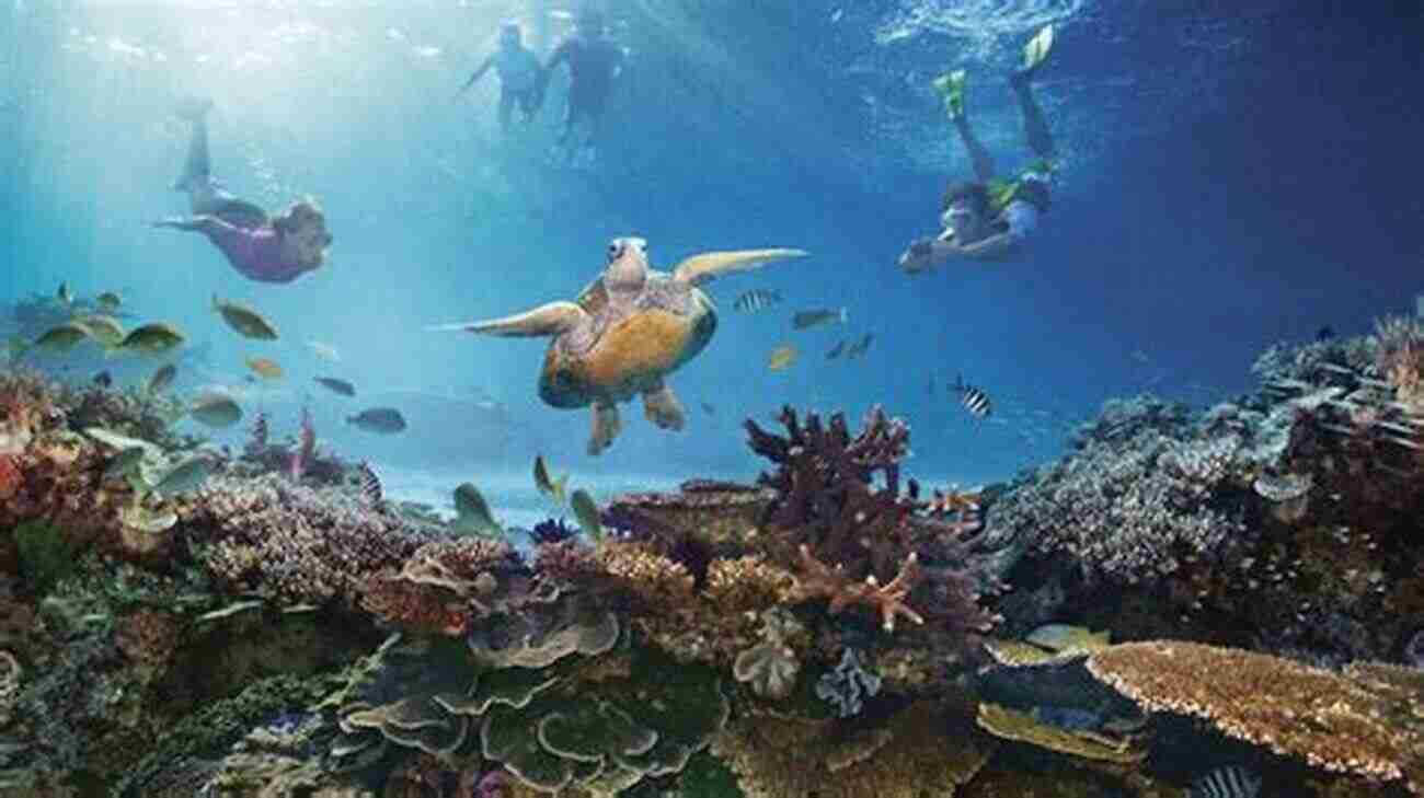 The Great Barrier Reef, A Beautiful Underwater Paradise Full Of Vibrant Marine Life The Reef: A Passionate History: The Great Barrier Reef From Captain Cook To Climate Change