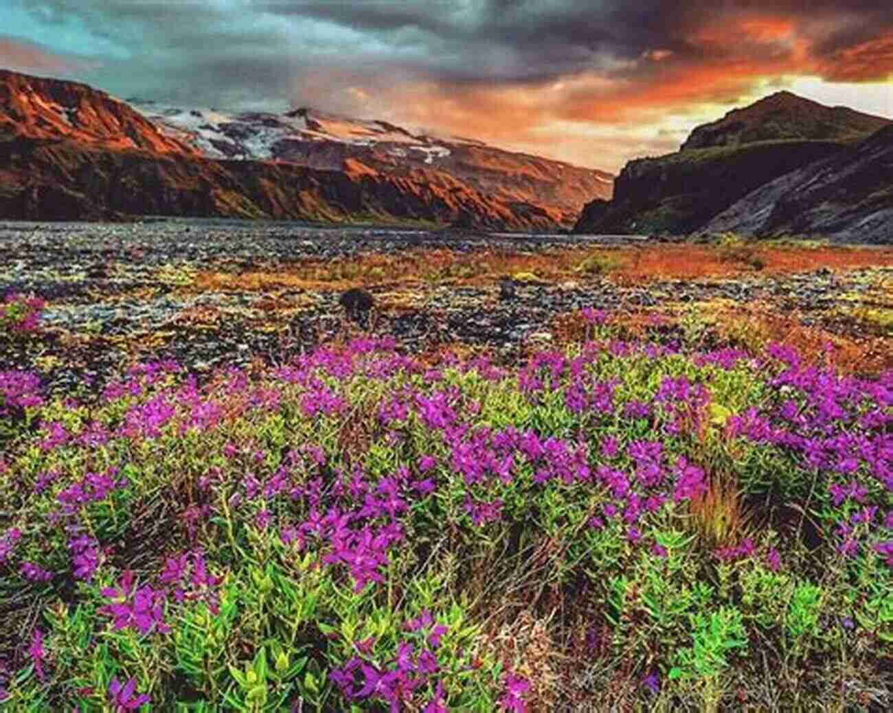 The Saltwater Marsh Magical Place Wildflowers Blooming Along The Scenic Hiking Trails The Saltwater Marsh A Magical Place