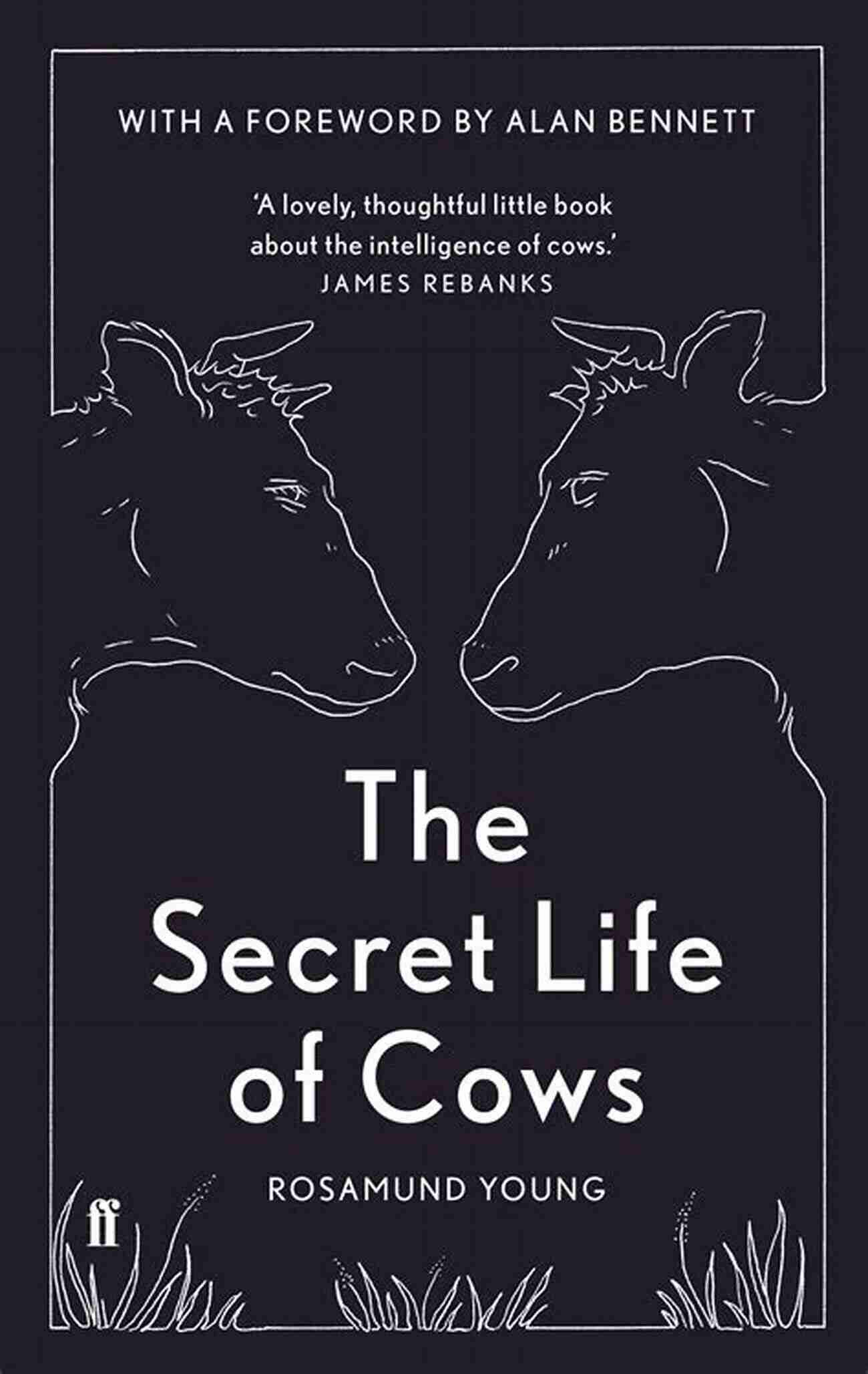 The Secret Life Of Cows Unveiling Their Intriguing Secrets The Secret Life Of Cows