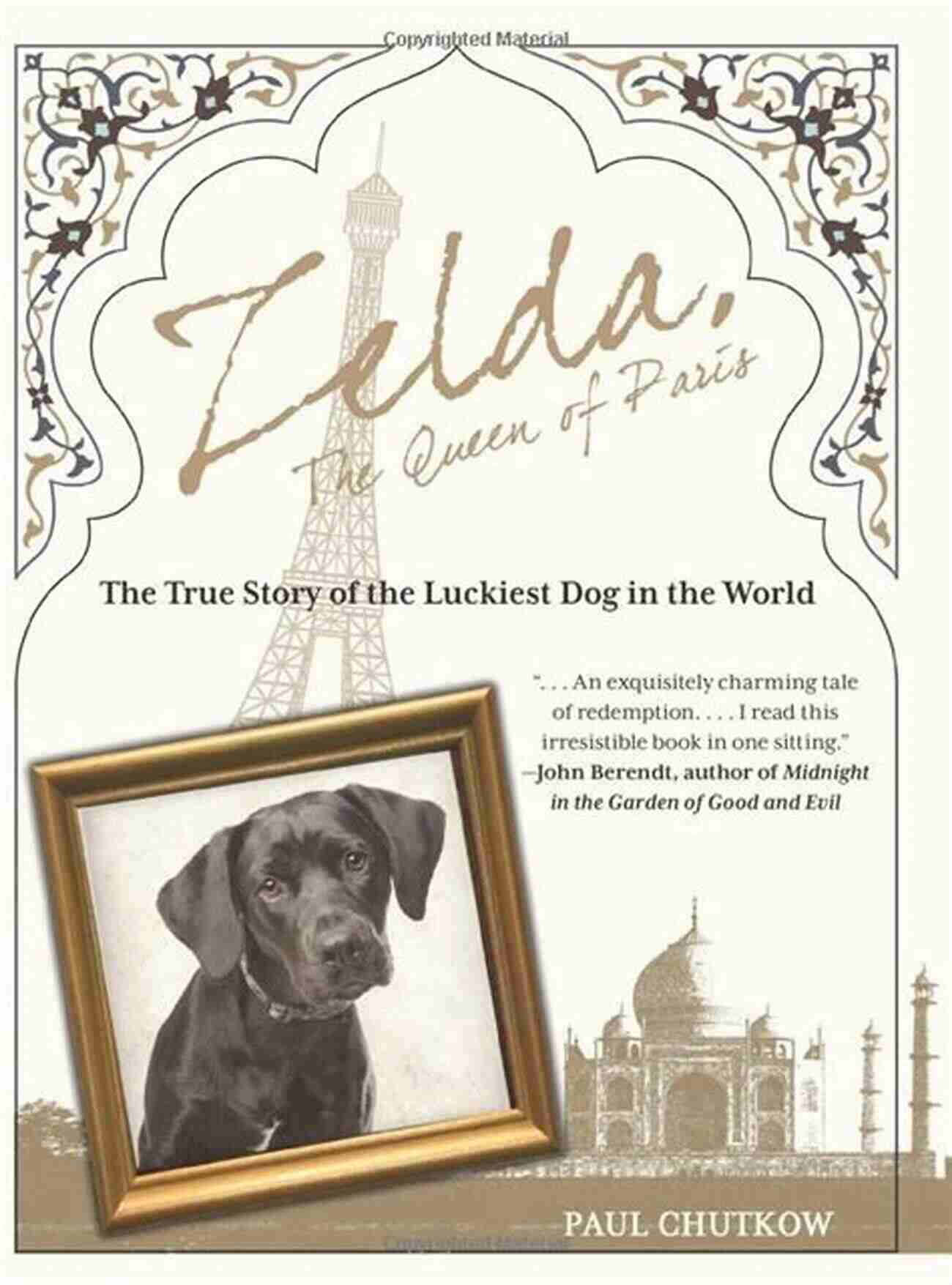 The True Story Of The Luckiest Dog In The World Zelda The Queen Of Paris: The True Story Of The Luckiest Dog In The World