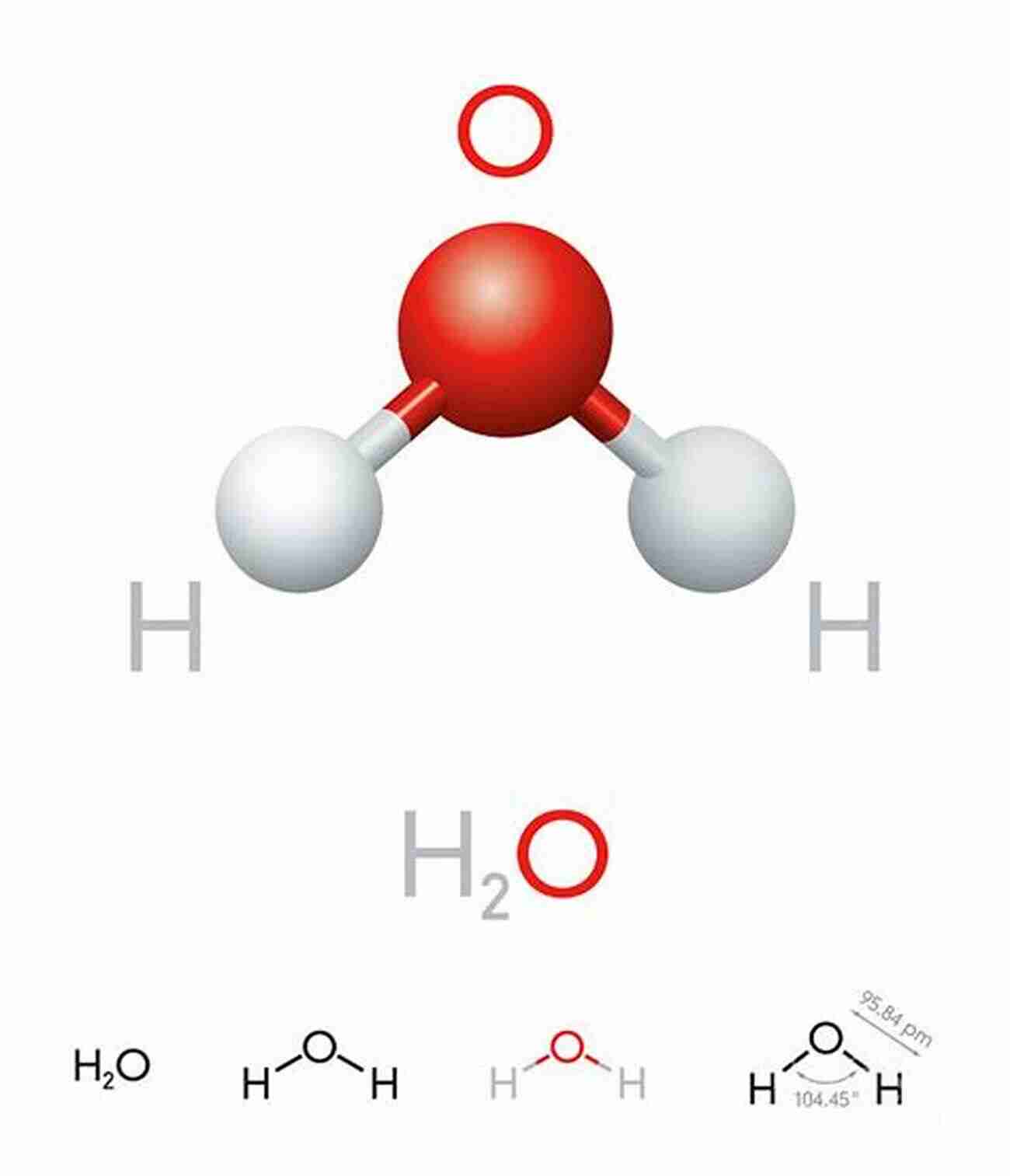 The Molecular Structure Of Water, H2O Water: The Forgotten Biological Molecule