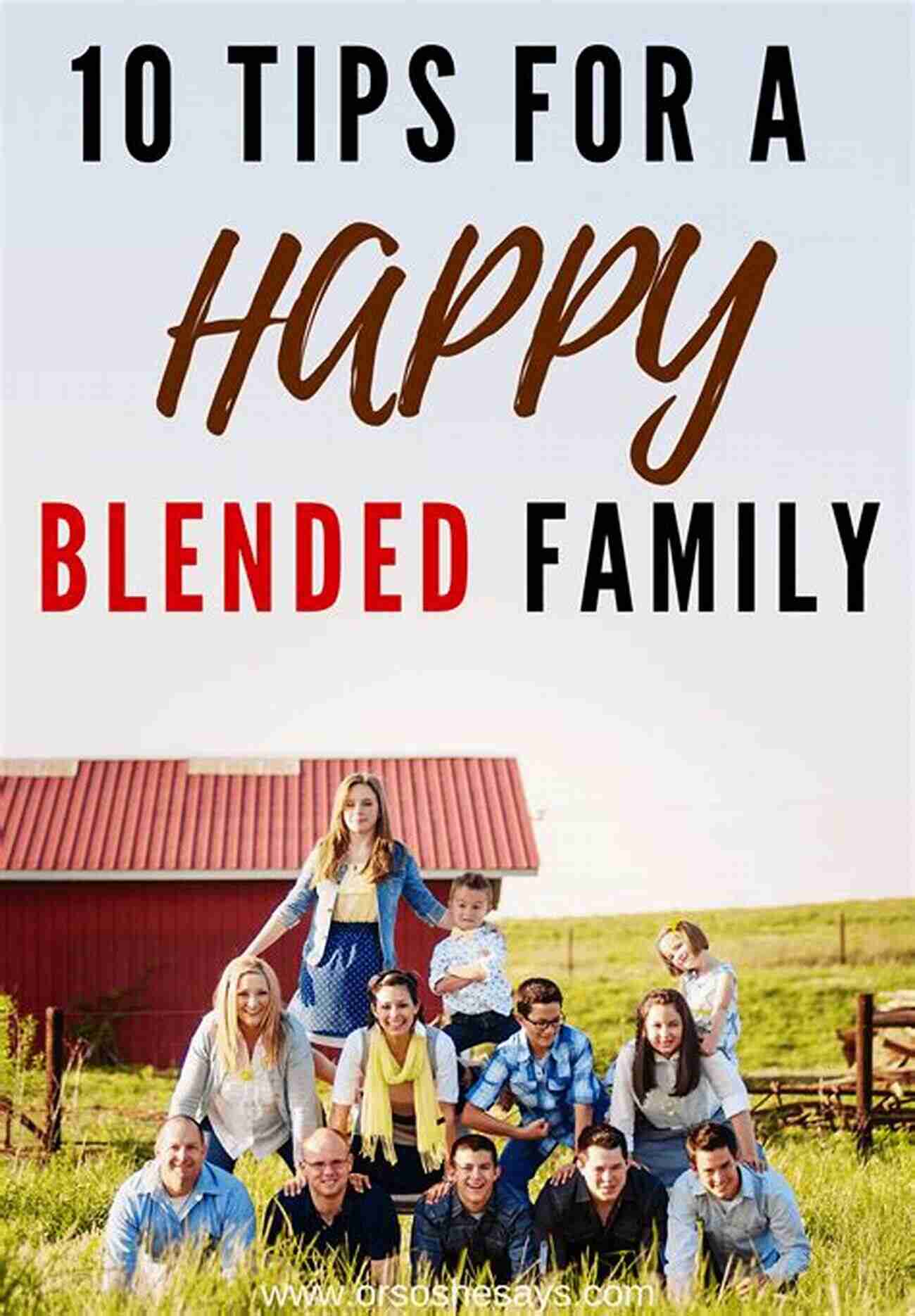 Tips For Blended Family And Parenting Creating A Happy And Harmonious Home Create Blended Parenting: Blended Family Advantages And Disadvantages: Blended Family And Parenting