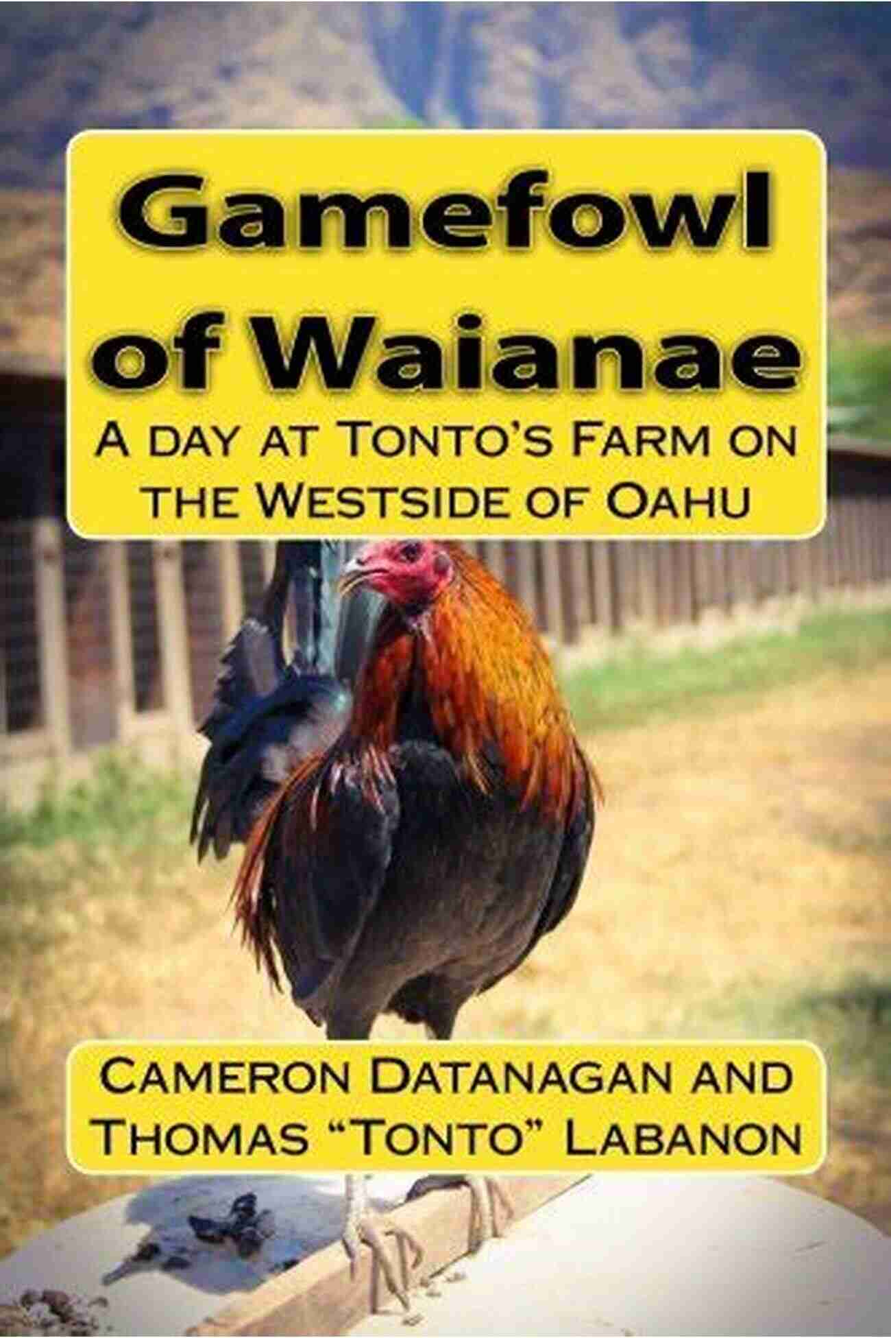 Tonto Farm Landscape Gamefowl Of Waianae: A Day At Tonto S Farm On The Westside Of Oahu (Chickens Of Hawaii)