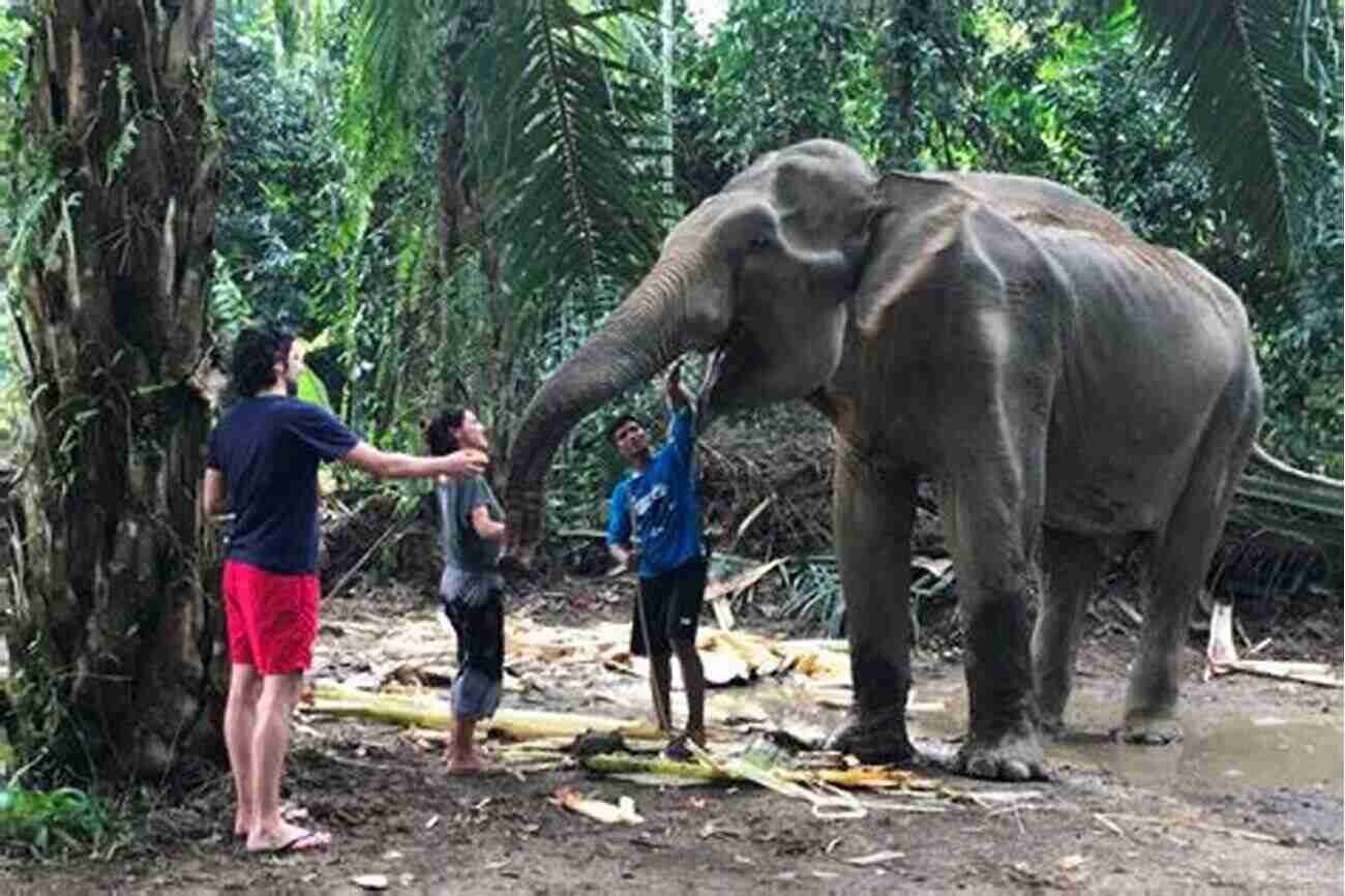 Wildlife Sanctuary In Western Thailand To The Border: A Journey Through Thailand You Won T Find In Travel Guides