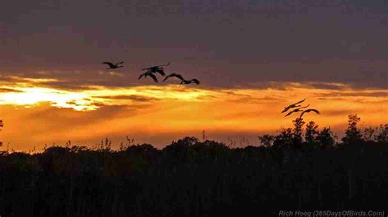 Witnessing A Beautiful Sunset Over Phantom Lake At Crex Meadows Hittin The Trail: Day Hiking Crex Meadows Wildlife Area (Hittin The Trail Wisconsin)