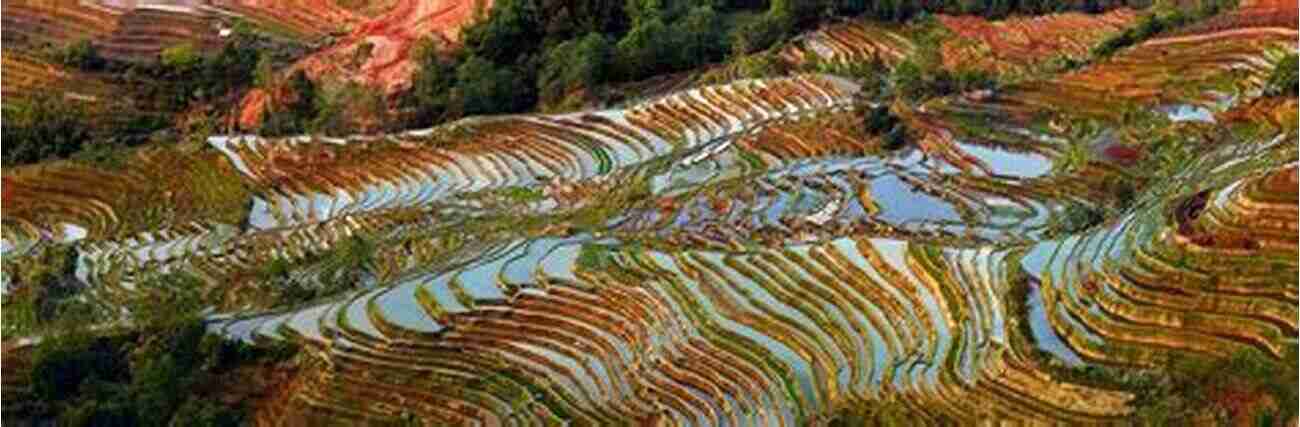 Yuanyang Rice Terrace Spectacular Man Made Landscapes South Of The Clouds: Exploring The Hidden Realms Of China