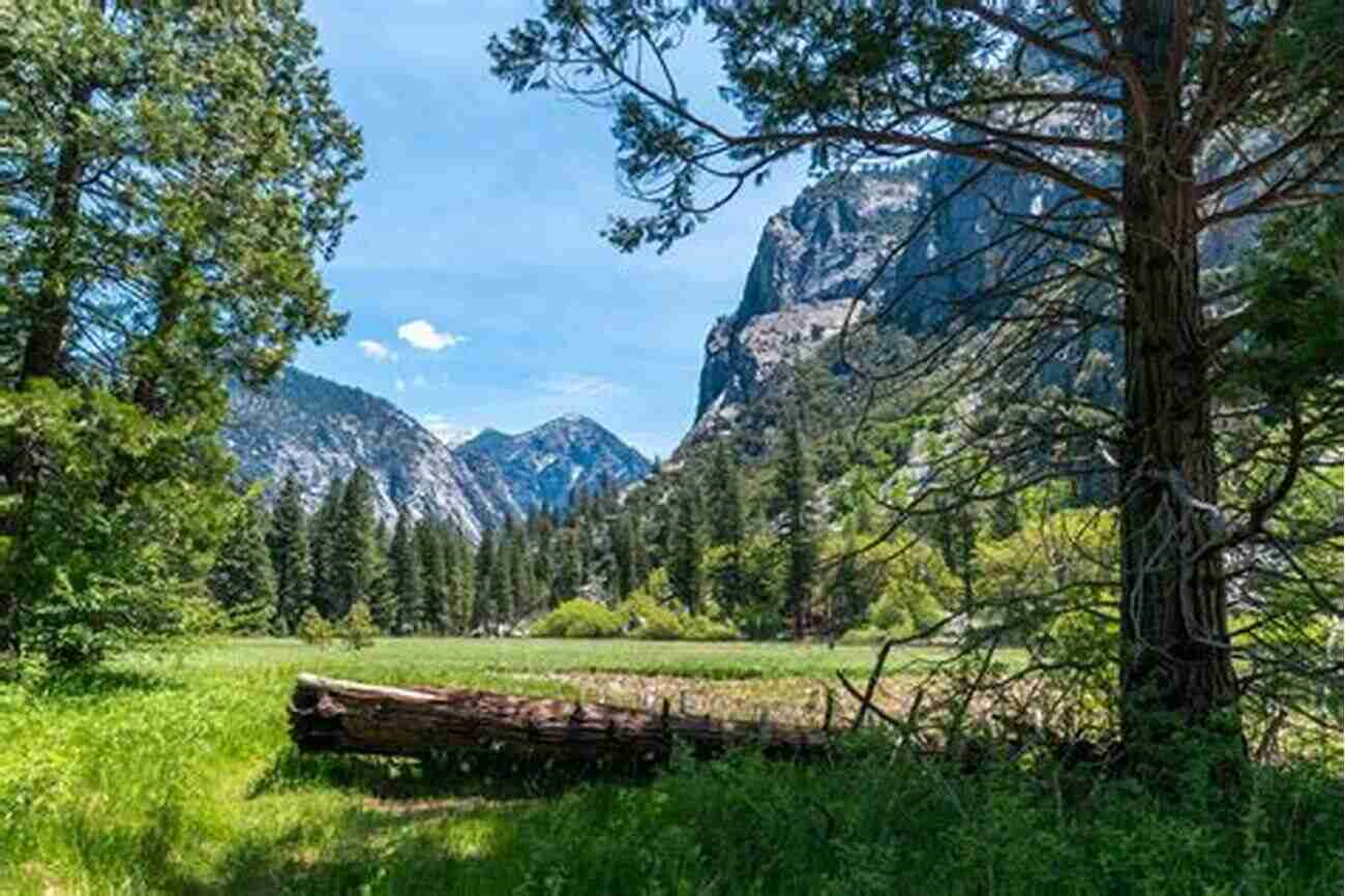 Zumwalt Meadow In Kings Canyon National Park What To Do In Yosemite Sequoia And Kings Canyon