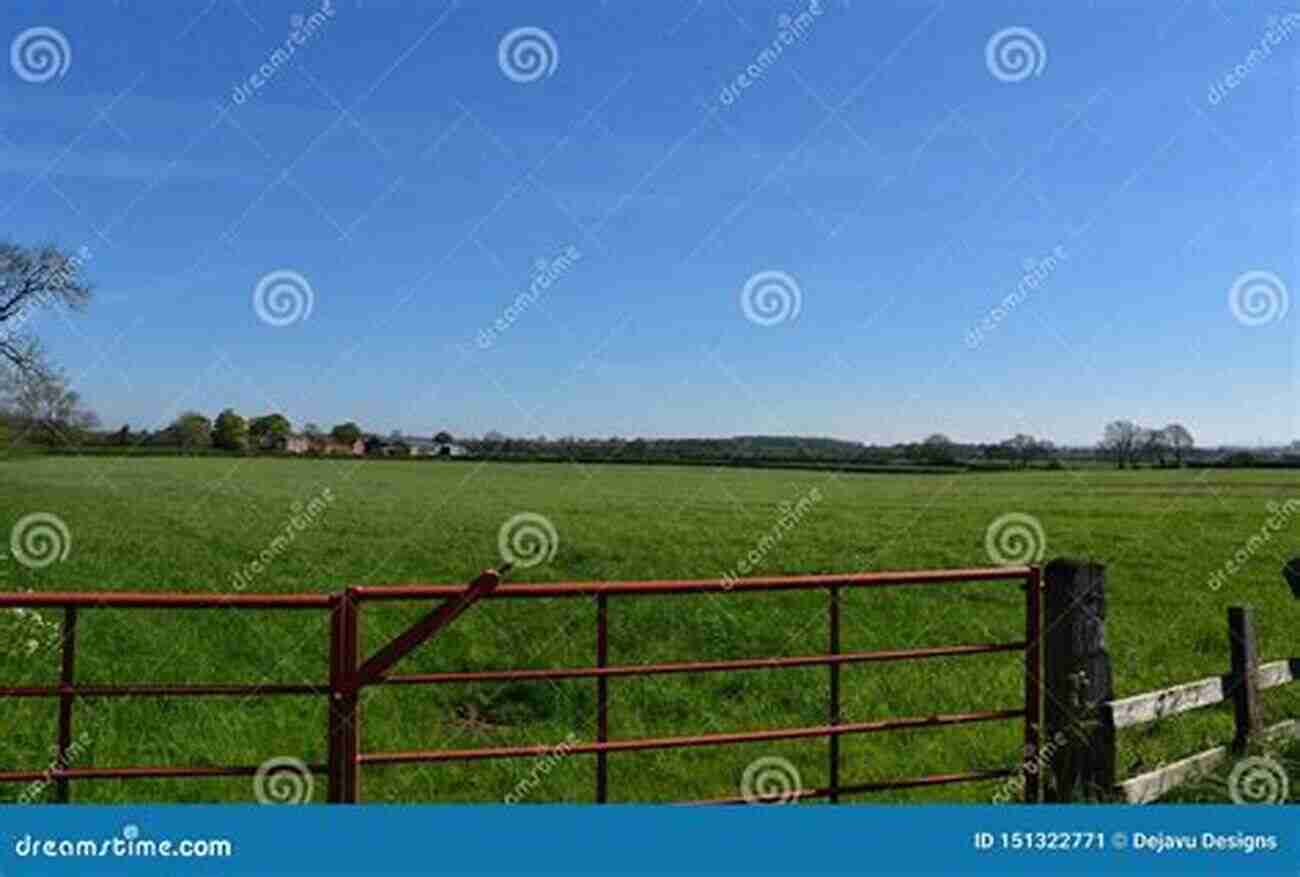 Beautiful Green Farmland Stretching As Far As The Eye Can See Holding Our Ground: Protecting America S Farms And Farmland