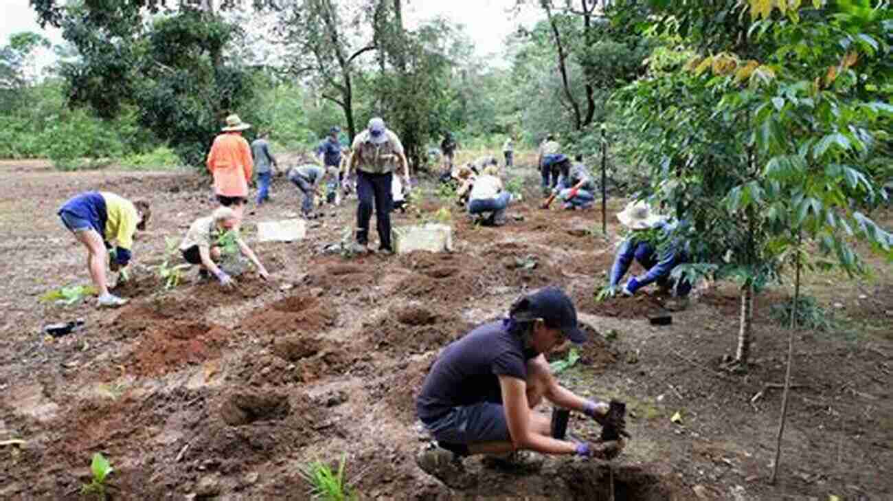 Conservation Volunteers Planting Trees In A Tropical Forest Tropical Forests (Jones And Bartlett S On Ecosystems And Biomes)