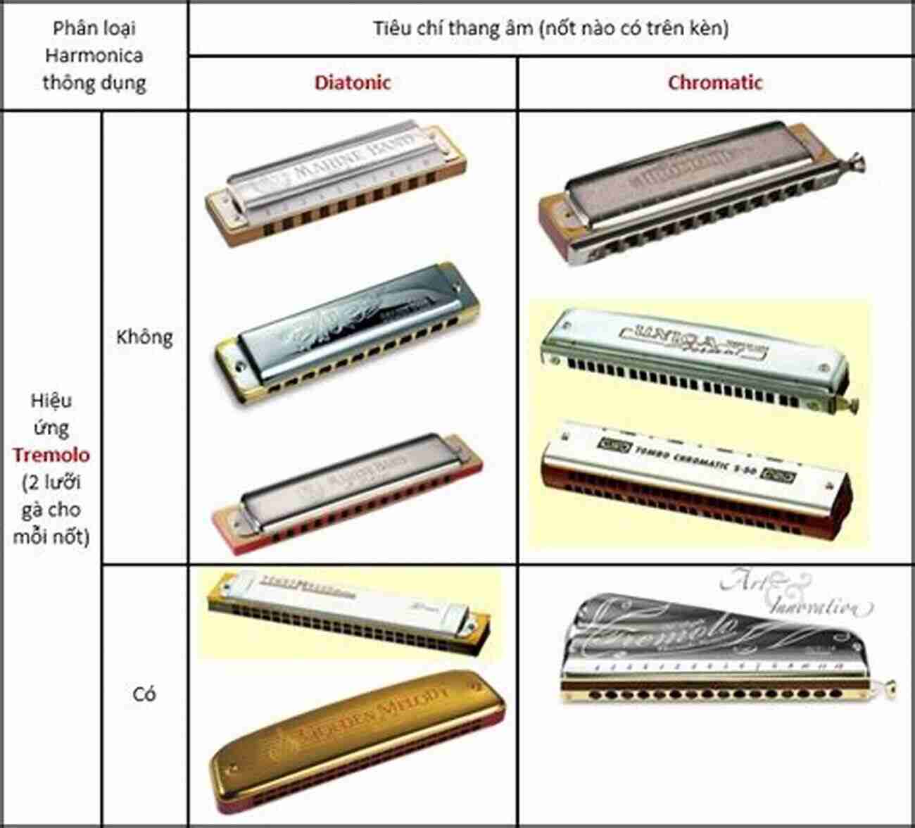 Diatonic, Chromatic, And Tremolo Harmonicas How To Play The Harmonica: A Beginners Guide To Learning The Basics Of Playing The Harmonica