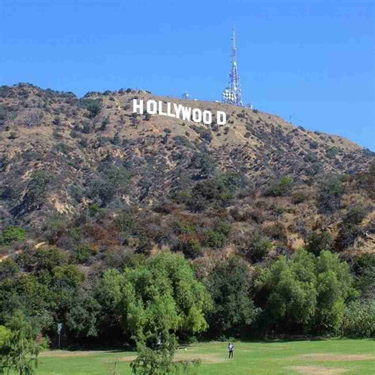 Hollywood Sign On Sunny Day The New Yorker S Guide To LA The Angeleno S Guide To NYC