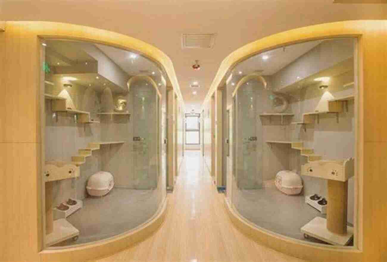 Luxurious Cat Boarding Facility How To Start And Operate A Luxury Pet Boarding Kennel For Cats: A Pet Oriented Home Based Career Change Or Retirement Business Opportunity