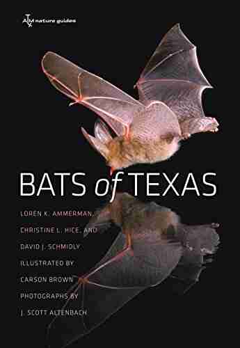 Bats of Texas (W L Moody Jr Natural History 43)