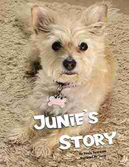 Junie S Story: A Special Wish From A Little Dog Who Lost Her Forever Home