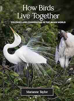 How Birds Live Together: Colonies And Communities In The Avian World