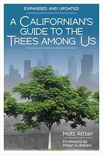 A Californian S Guide To The Trees Among Us: Expanded And Updated