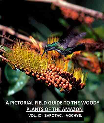 A Pictorial Field Guide To The Woody Plants Of The Amazon VOL IX: SAPOTACEAE VOCHYSIACEAE