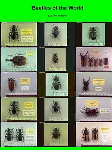 Beetles of the World: Coleoptera of the World