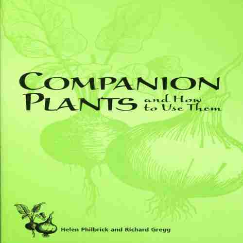 Companion Plants And How To Use Them